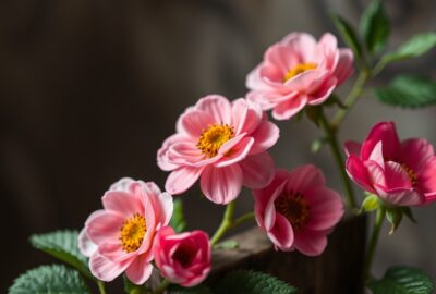 Экологичная косметика: гид по выбору брендов и чтению состава (INCI)